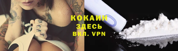 молекула духа Аркадак