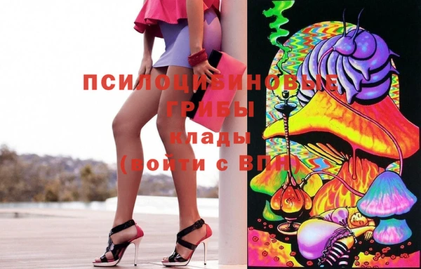 молекула духа Аркадак